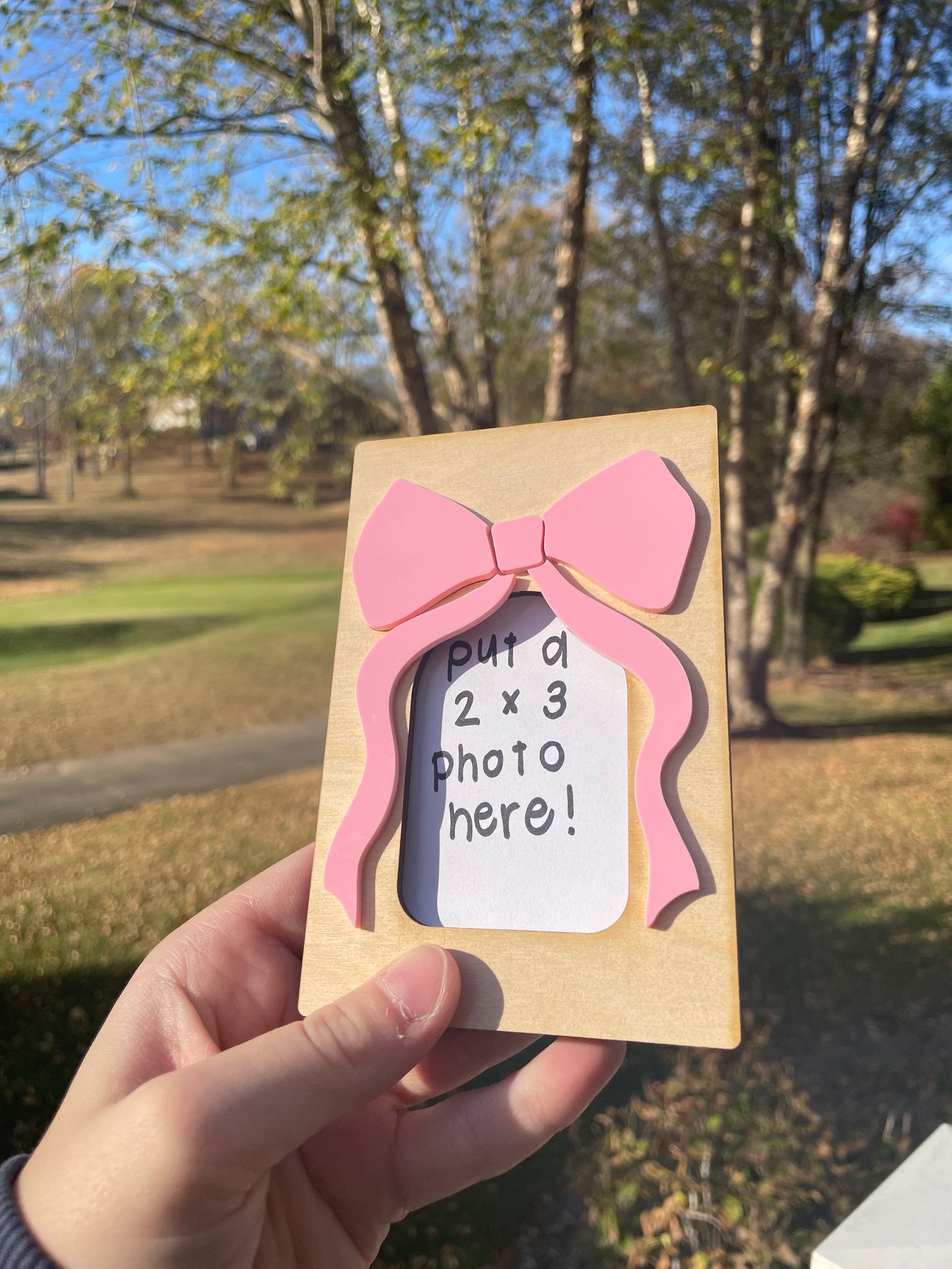 Cute Bow Picture Frame with Magnets