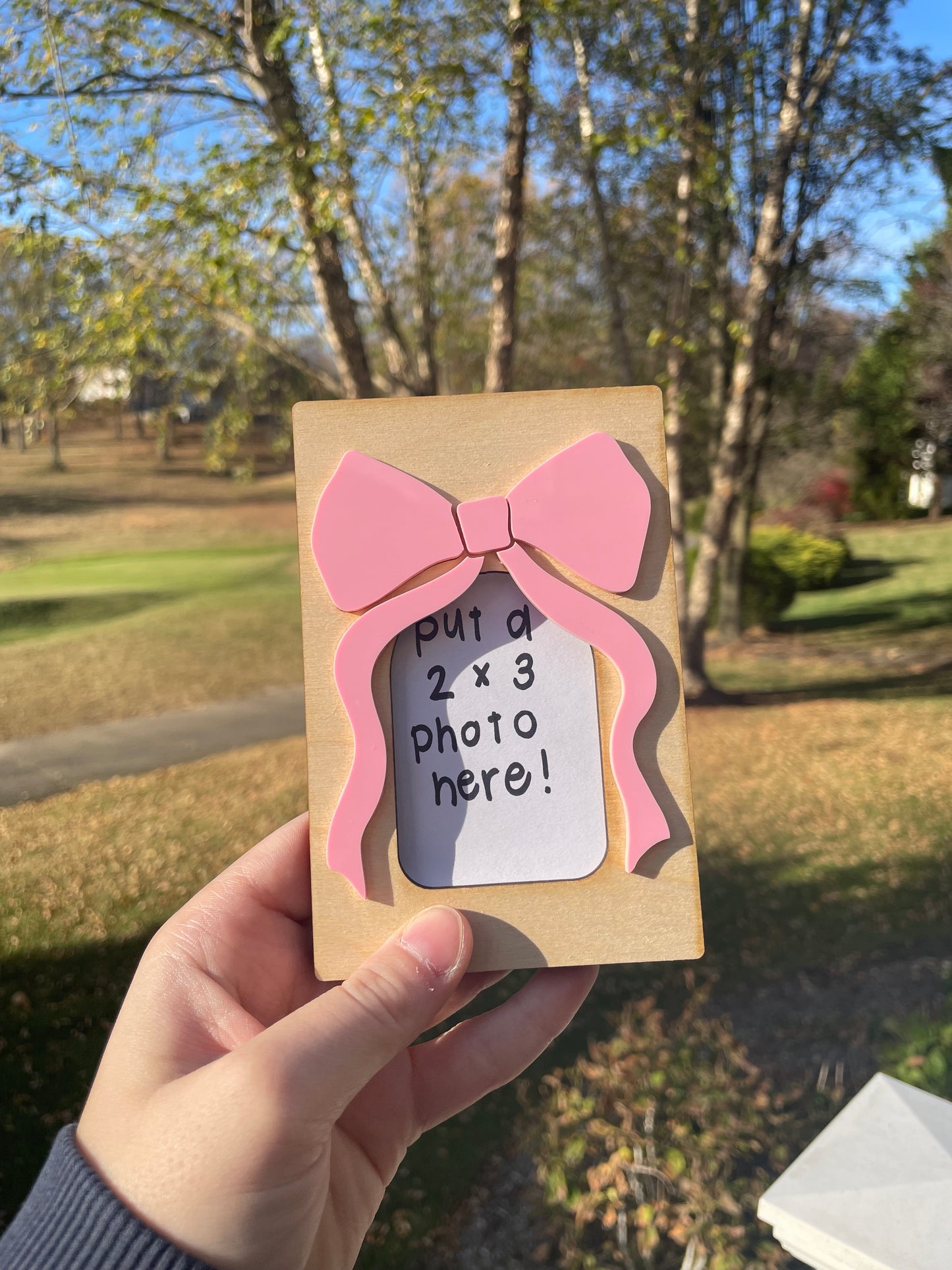 Cute Bow Picture Frame with Magnets