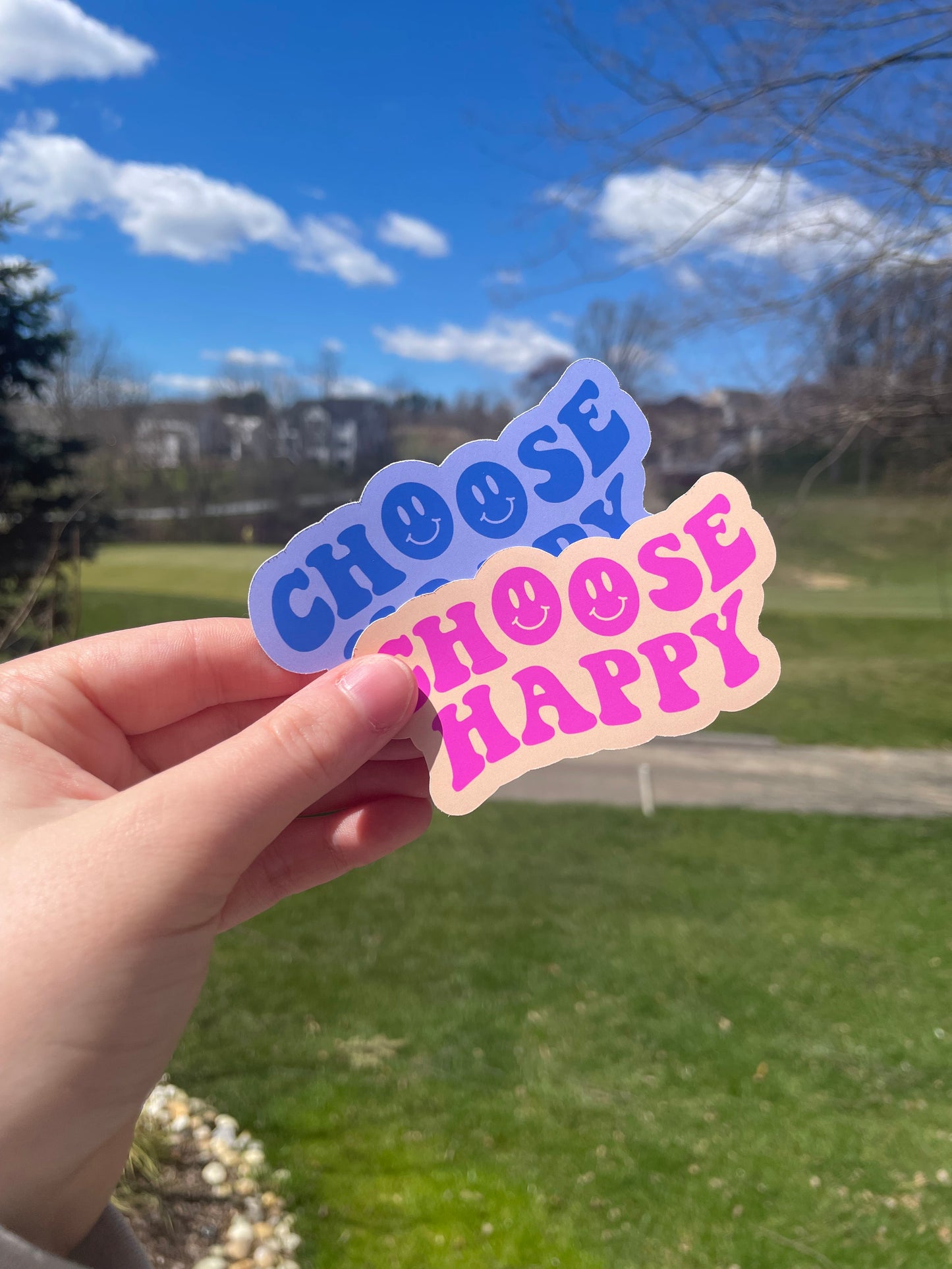 Choose Happy Pink or Blue Die Cut Matte Sticker