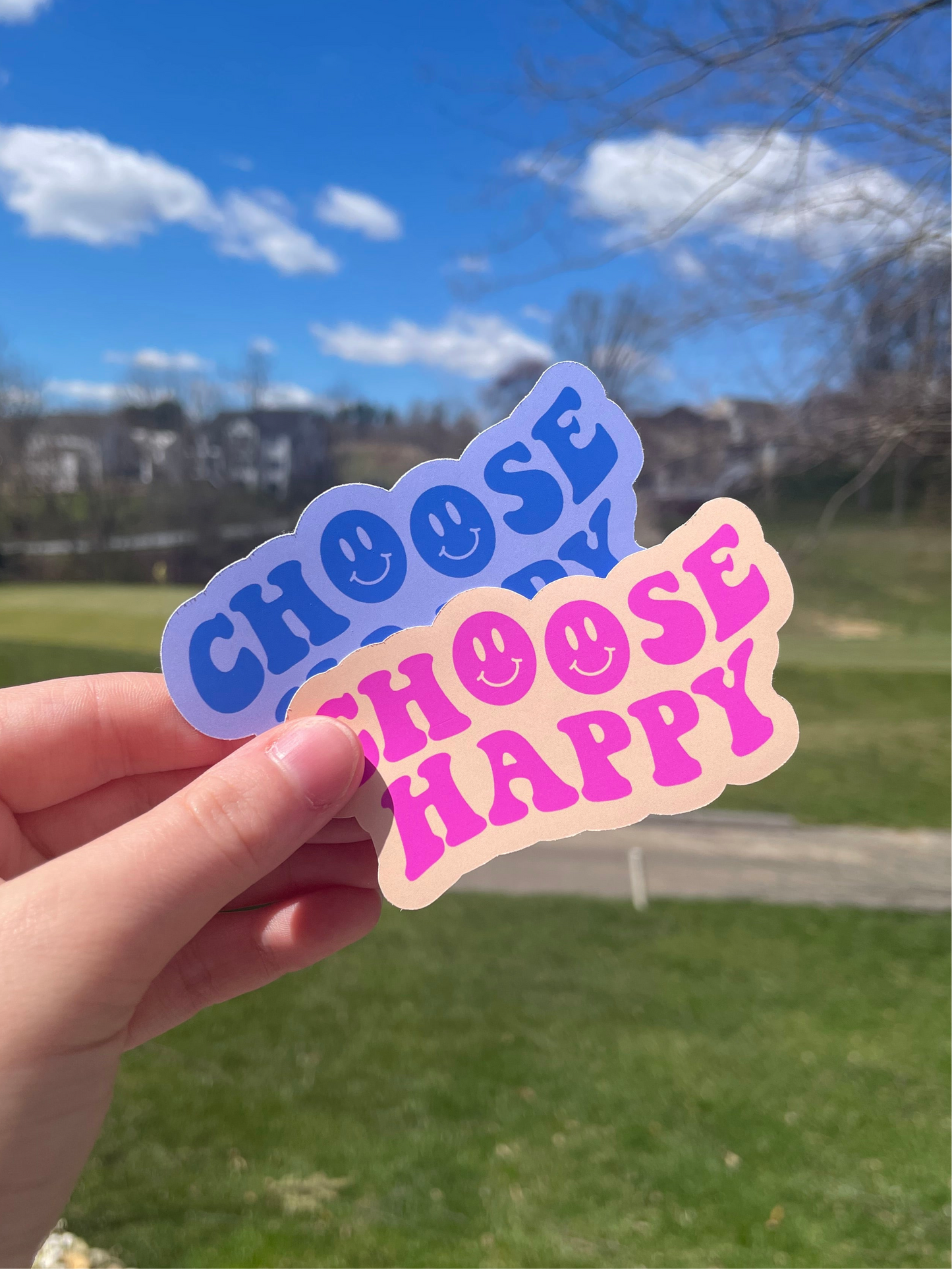 Choose Happy Pink or Blue Die Cut Matte Sticker