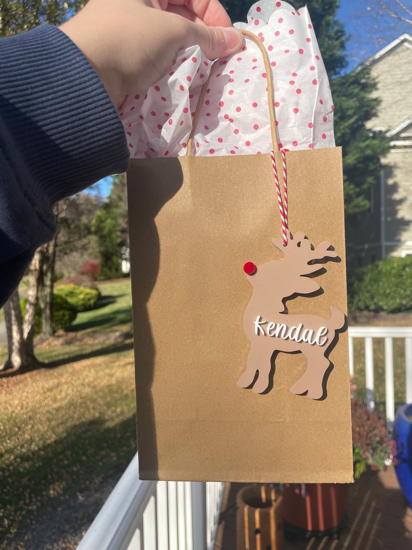 Custom Reindeer Gift Tag with Red and White Twine