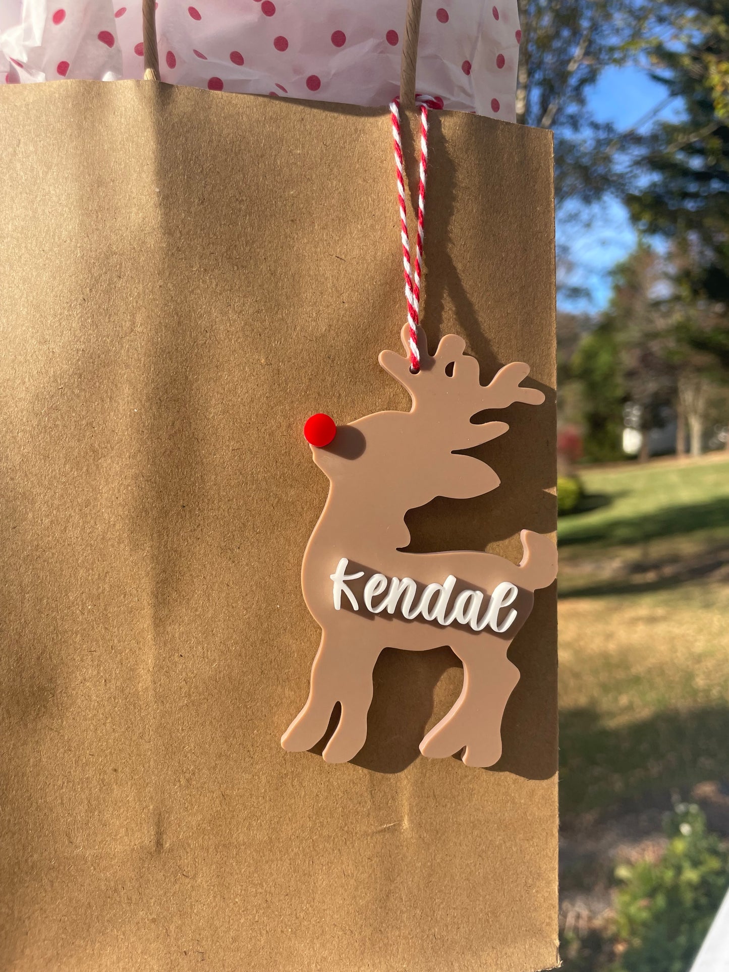 Custom Reindeer Gift Tag with Red and White Twine