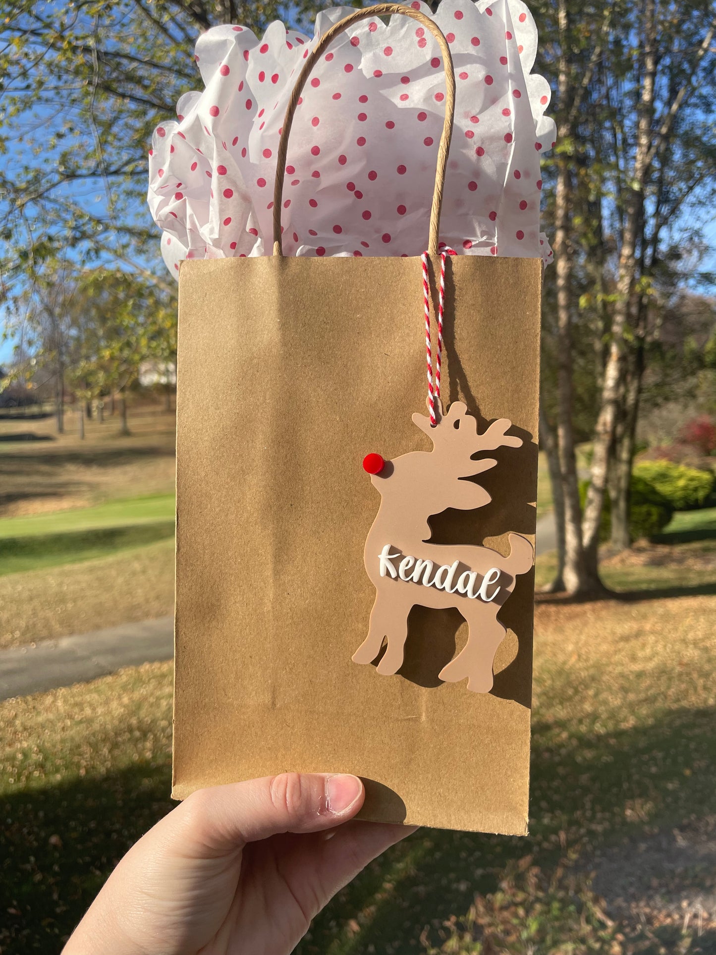 Custom Reindeer Gift Tag with Red and White Twine