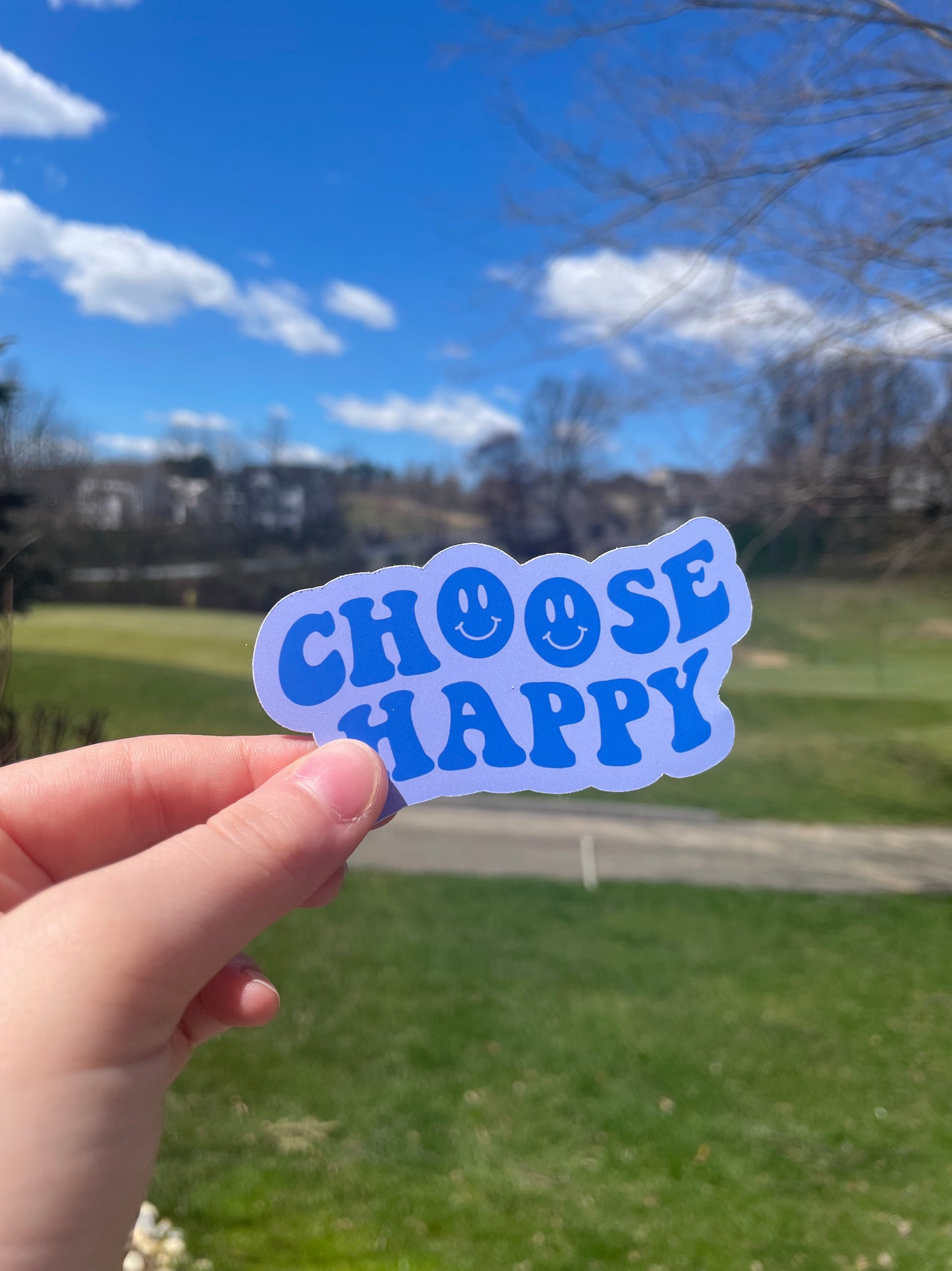 Choose Happy Pink or Blue Die Cut Matte Sticker