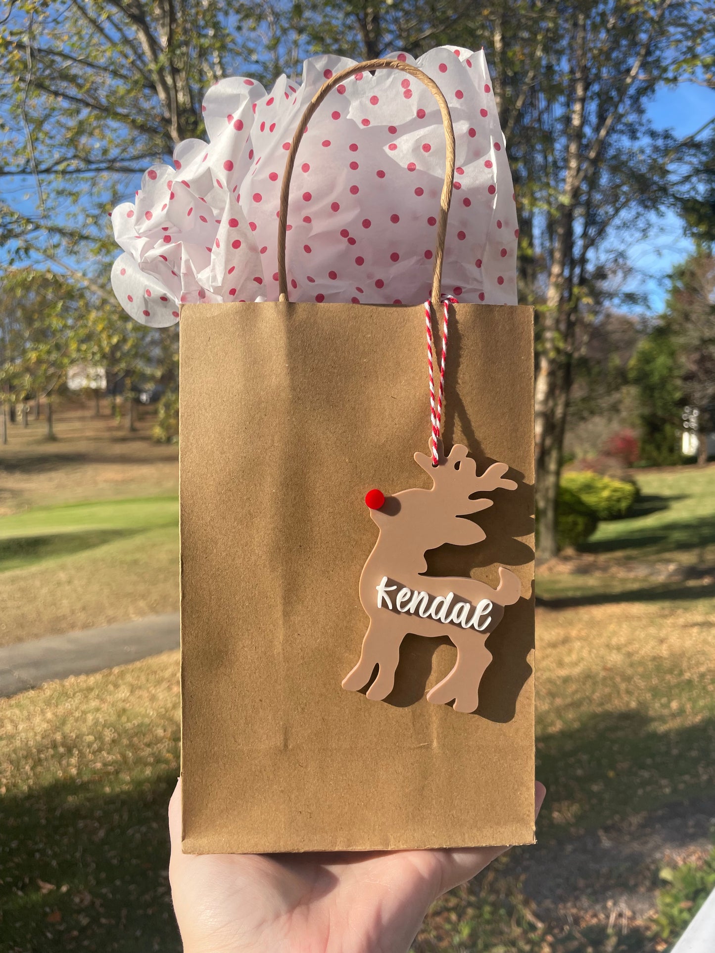 Custom Reindeer Gift Tag with Red and White Twine