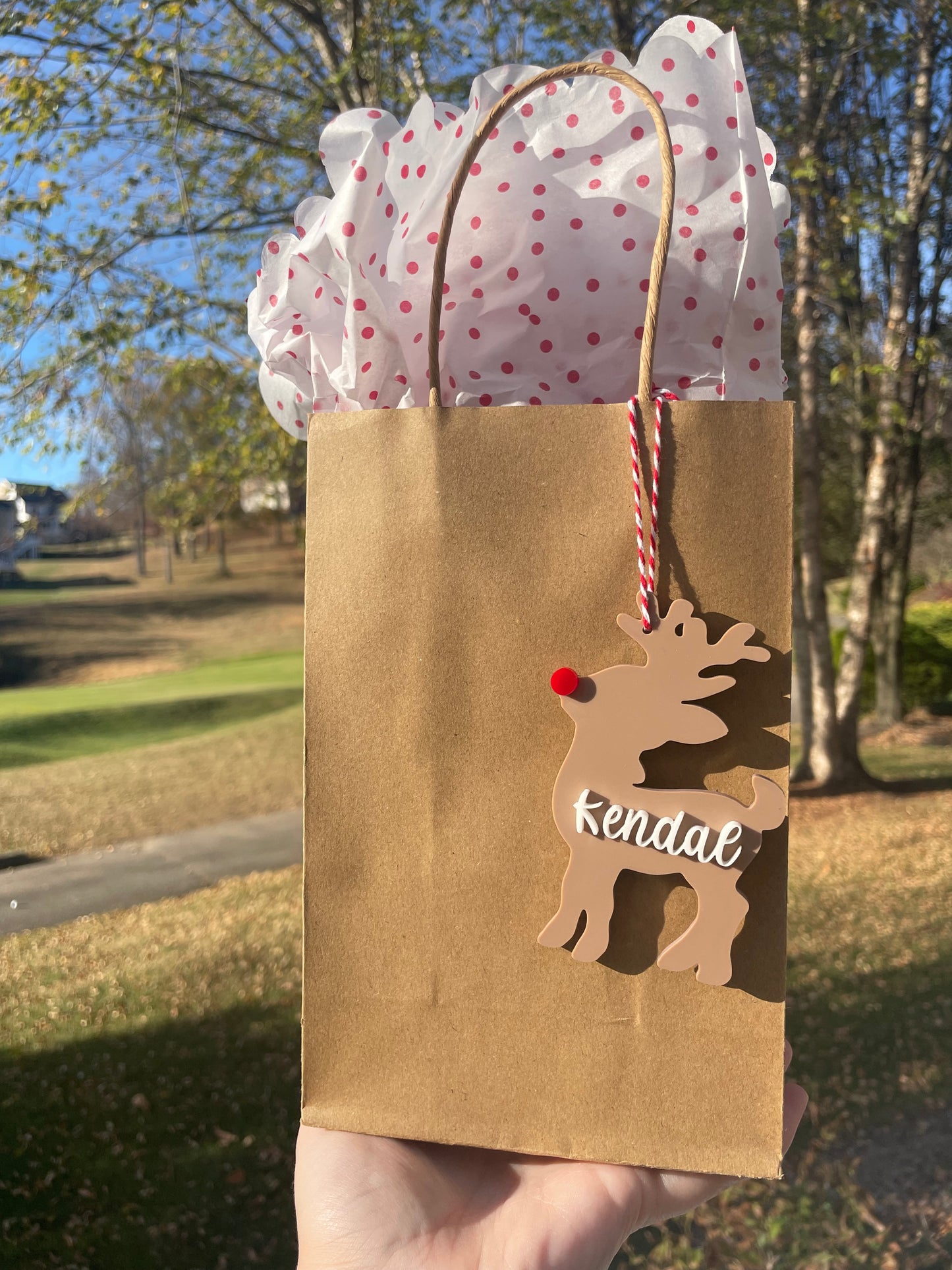 Custom Reindeer Gift Tag with Red and White Twine