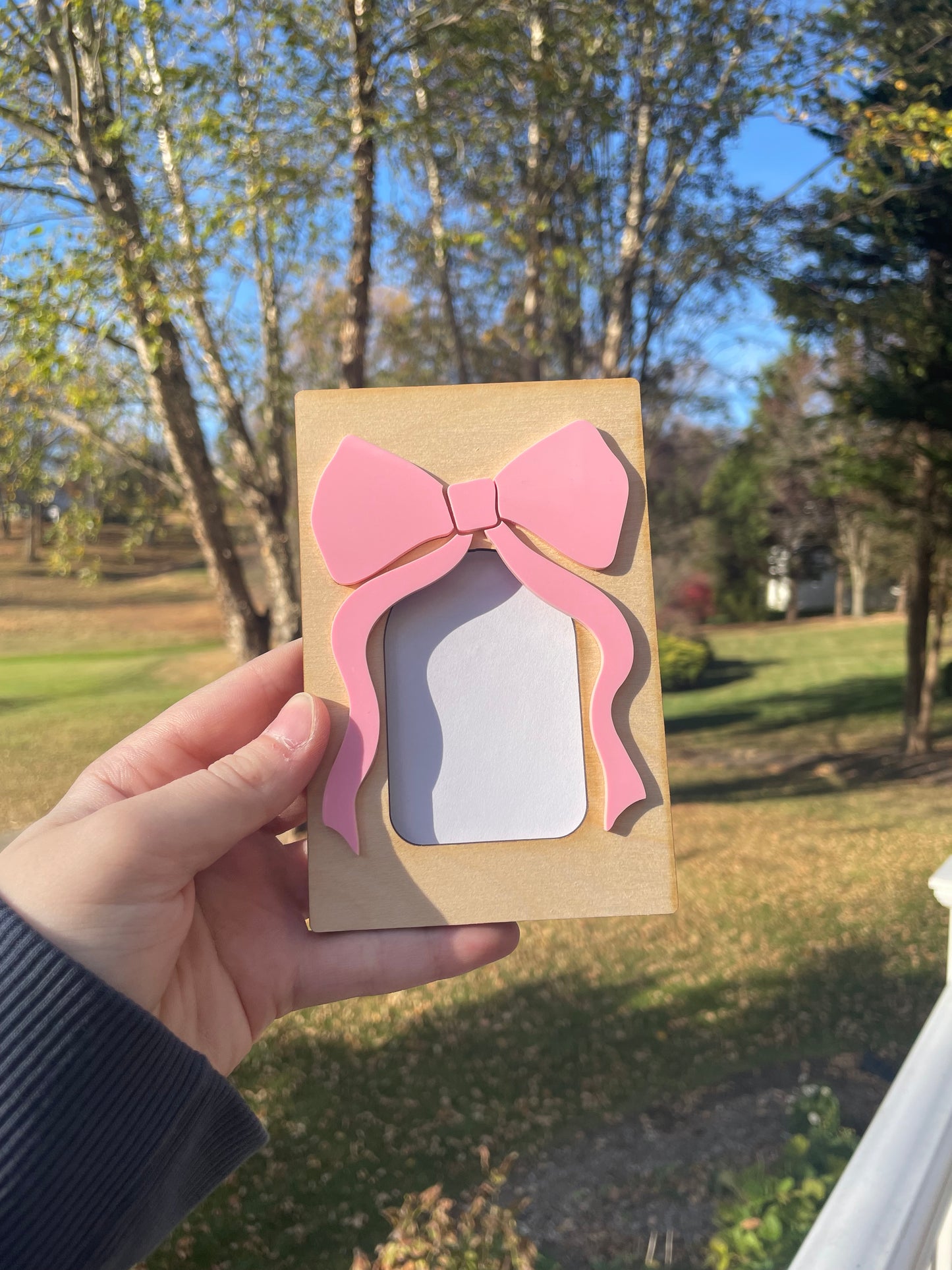 Cute Bow Picture Frame with Magnets