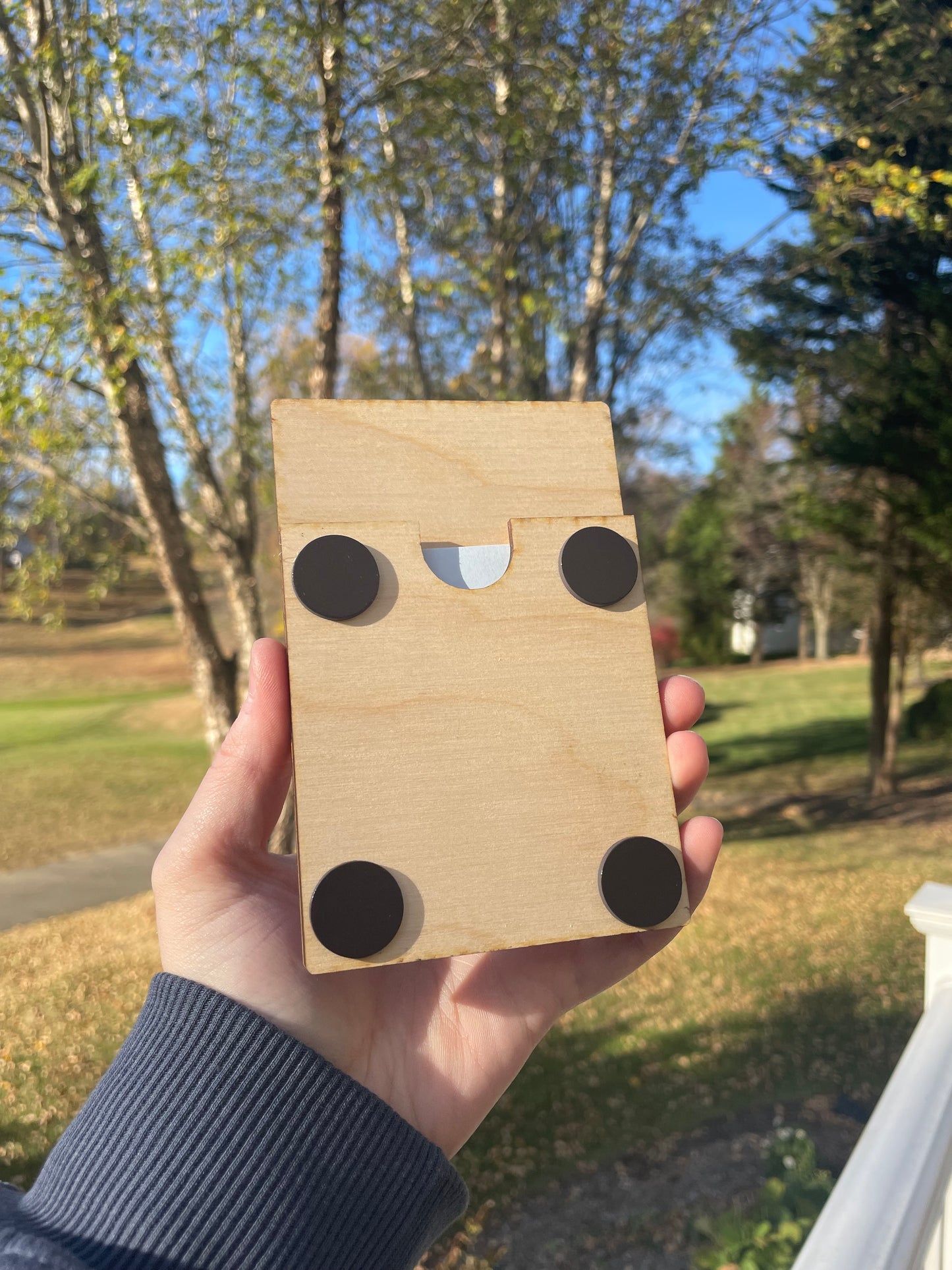Cute Bow Picture Frame with Magnets