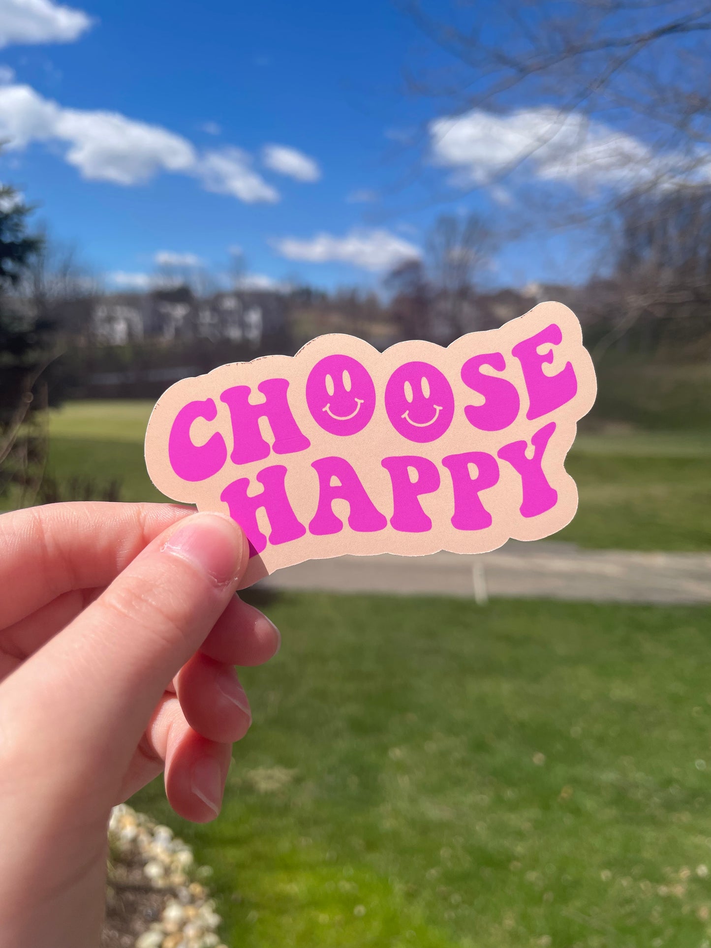 Choose Happy Pink or Blue Die Cut Matte Sticker