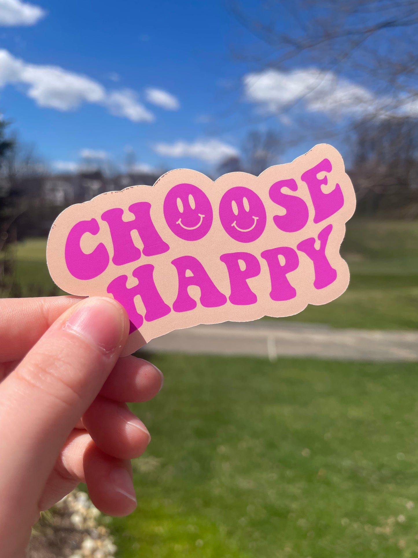 Choose Happy Pink or Blue Die Cut Matte Sticker