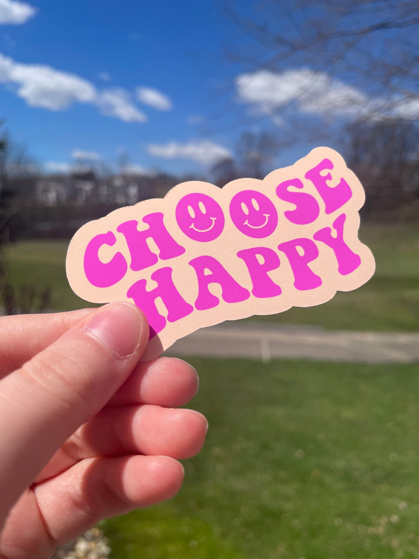 Choose Happy Pink or Blue Die Cut Matte Sticker
