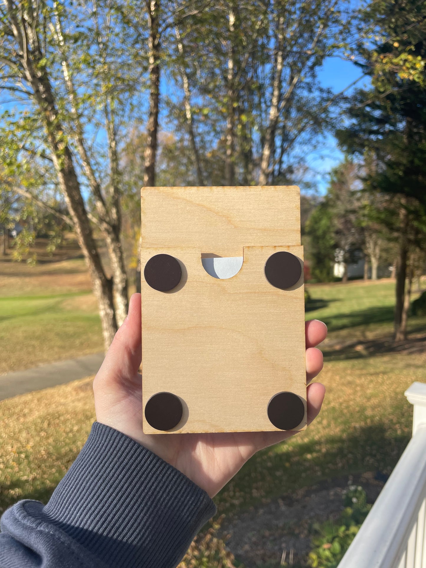 Cute Bow Picture Frame with Magnets