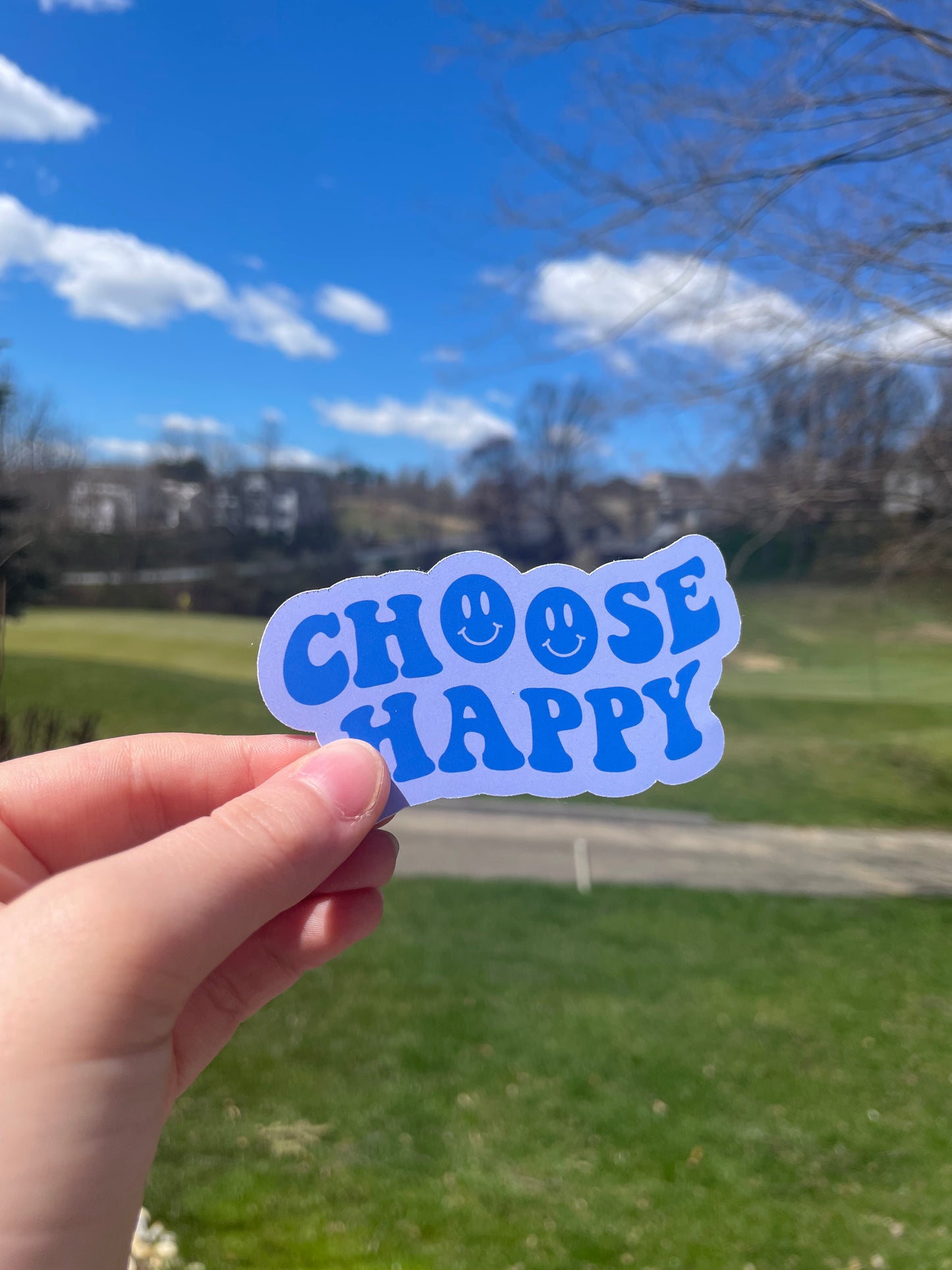 Choose Happy Pink or Blue Die Cut Matte Sticker
