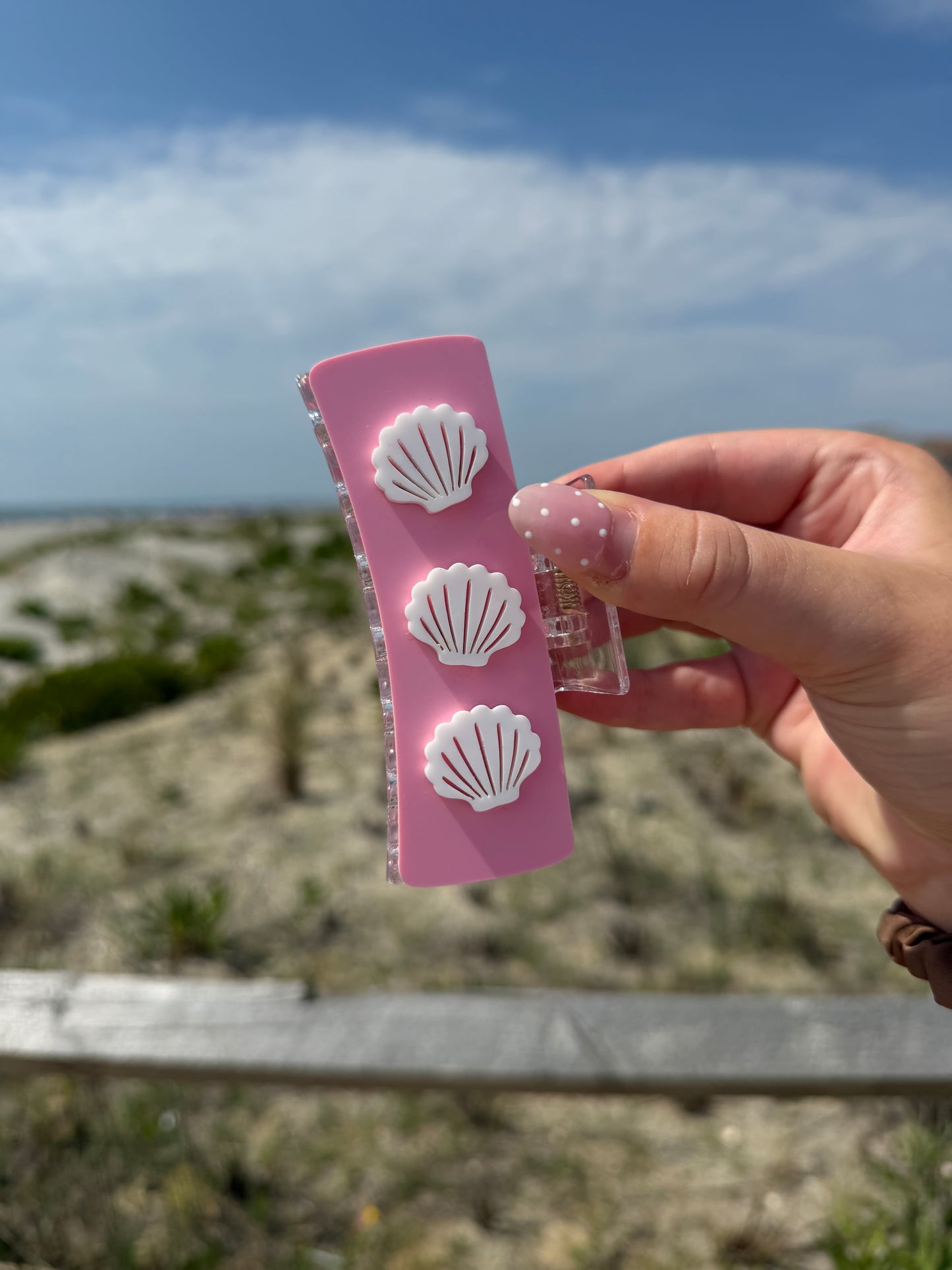 Beachy Seashells Acrylic Claw Clip