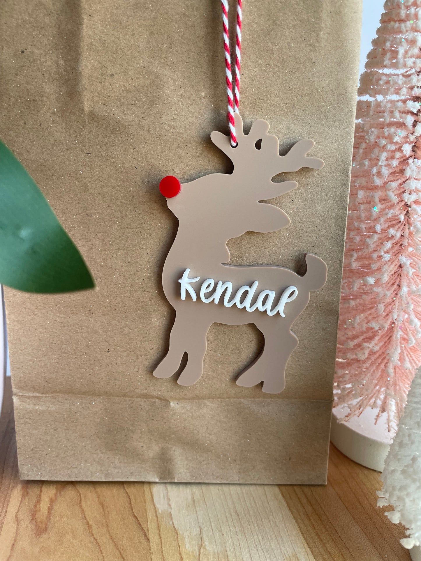 Custom Reindeer Gift Tag with Red and White Twine