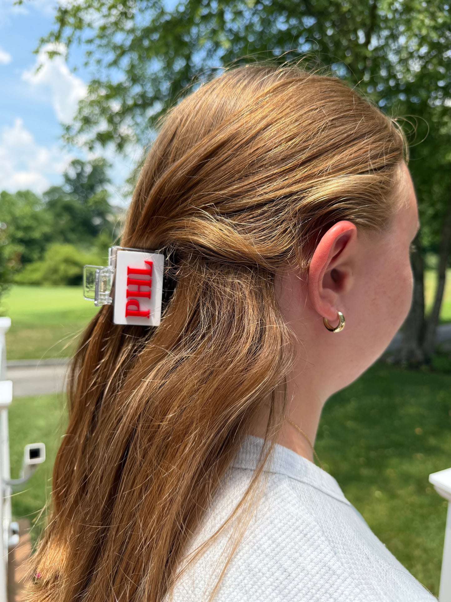 PHL Acrylic Mini Claw Clip